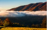 cloud rising above the forest in mountains, beautiful autumnal scenery at sunrise