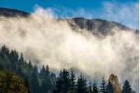 cloud rising up from the forest in autumn morning. gorgeous nature weather background