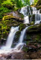 cold waters of mighty waterfall Shypot. beautiful nature summer scenery among forest. one of the most visited locations in Carpathian mountains of Ukraine