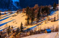 woodshed on snowy rural fields near forest. colorful sunrise in Carpathian mountains.