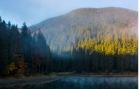 coniferous forest in fog around the mountain lake. lovely autumn scenery in early morning