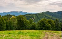 country road down the hill in to the forest. beautiful scenery of Carpathian nature. high mountain ridge in the distance