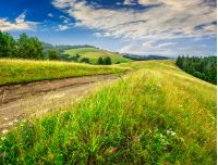 stright road through a large meadow on the hillside among forest in rural area