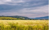 beautiful countryside landscape. rural field near the forest on a tranquil summer day. village on mountain ridge under cloudy blue sky