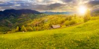 dandelions on rural field in mountains at sunset in evening light. beautiful springtime landscape. village in the distance valley.