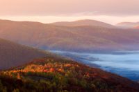 deciduous forest on mountain hillside at sunrise. beautiful scenery in carpathian valley with fog. autumnal landscape of ukraine