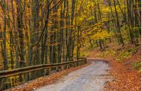 descend road turnaround in autumn forest. lovely nature scenery with lots of colorful foliage on hillside