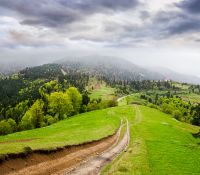 dirt road winding through green rolling hills. rural landscape in carpathian mountain range of ukraine. countryside vista under overcast sky in spring. synevyr parks and outdoors travel destination