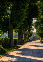lantern among chestnut trees. long embankment at sunrise