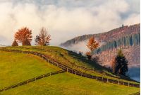fence along the path in foggy mountains. gorgeous sunrise in autumnal rural scenery