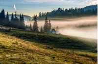Rural landscape with flock of sheep on the hillside meadow in fog near the forest in mountains of Romania