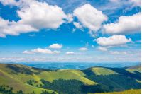 fluffy clouds above the mountain ridge. wonderful summer scenery with grassy alpine meadow. beautiful carpathian landscape