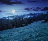 cold morning fog with hot sunrise in conifer forest in Carpathian mountains at night in full moon light