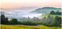 idyllic summer landscape with cold morning fog on hillside in mountainous rural area before sunrise