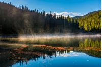 fog rise over forest lake in mountains at sunrise. absolutely stunning autumnal nature scenery with morning glowing mist in golden sun rays and reddish foliage sliding on water ripples