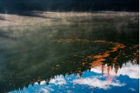 beautiful nature background of foliage on the misty water surface reflecting spruce forest