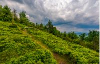 foot path uphill in to the forest. lovely summer scenery. hiking and outdoor activities concept. dark cloudy sky.