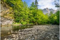 composite summer landscape. trees on a cliff by the shore of a river at the foot of High Tatry mountain ridge. wooden bridge among forest in a distance. rocky peaks under blue sky with clouds