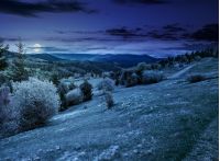composite countryside landscape. forest in mountain rural area. grassy agricultural field on a hillside. beautiful summer scenery at night in full moon light