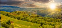Panoramic rural landscape. forest in mountain rural area. green agricultural field on a hillside. beautiful summer scenery at sunset
