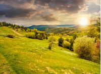 composite countryside landscape. forest in mountain rural area. grassy agricultural field on a hillside. beautiful summer scenery at sunset