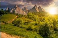 Composite summer landscape. Path through the forest on grassy hillside in High Tatras. beautiful summer weather with blue sky and some clouds at sunset