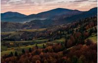forest on hills in mountainous countryside at dawn. lovely landscape in autumn