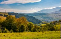 forest with yellow foliage on grassy hills in autumnal countryside. a small town located at the bottom of valley in a distance. lovely morning scenery in mountains