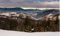forest on snowy hills in mountains at dawn. gorgeous winter landscape with high mountain ridge in the distance