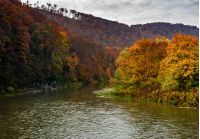 forest river in autumn mountains. lovely grassy shores with yellowed trees and rocky cliff. gorgeous nature autumnal scenery. high viewpoint