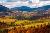 forested rural area on rolling hills in autumn. gorgeous mountain landscape on a cloudy day