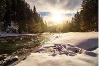 frozen river among conifer forest with snow on the ground in carpathian mountains in evening light