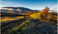 gorgeous foggy morning in mountainous countryside. beautiful landscape with path near the wooden fence and trees with yellow foliage on hillsides in late autumn