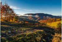 gorgeous foggy morning in mountainous countryside. beautiful landscape with wooden fence and trees with yellow foliage near the rural fields on hillsides in late autumn