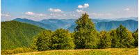 gorgeous mountainous panorama with forest in early autumn day