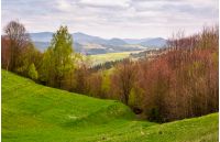 grassy hills of mountainous rural area. beautiful countryside landscape in springtime on a cloudy day