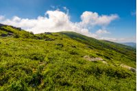 grassy meadow of a hillside on top of mountain ridge. beautiful summer landscape with blue sky and a cloud