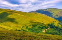 beautiful summer landscape. green grassy meadow on a hillside on top of mountain ridge with some forest under cloudy sky