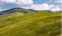 beautiful summer landscape. green grassy meadow on a hillside on top of mountain ridge under cloudy blue sky
