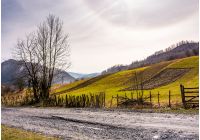 grassy rural fields on hillside. beautiful springtime scenery with snowy mountain ridge in the distance