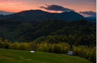 grassy rural slope at dusk. woodshed on the hillside near the forest. beautiful landscape with reddish sky and rolling hills in springtime