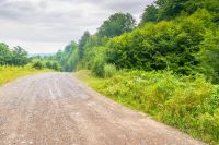 gravel road runs through rural landscape of transcarpathia. peaceful scenery with country way among forested hills. cloudy summer sky. travel backgground for rustic farmland area
