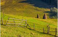 hay stacks behind the fence on rural field. lovely Carpathian countryside landscape in early autumn morning