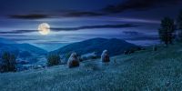 haystacks on a grassy hill in summer at night in full moon light. beautiful summer landscape in mountains. carpathian countryside. wonderful weather. village down in the valley