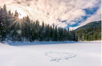 heart on the snow in spruce forest at sunset. lovely nature scenery in winter mountains. love concept