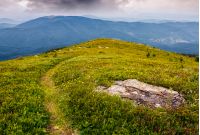 high mountain idyllic landscape. path through grassy meadow with boulder on hillside. beautiful nature.
