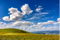summer mountain landscape under the blue sky with clouds in morning light. meadow with wild grass over the spruce forest on a slope.