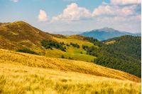 grassy hills with forest and high peak in a distance. beautiful nature scenery in fine early autumn weather