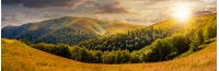 panoramic summer landscape. hillside meadow near the forest in mountains. wonderful summer evening.