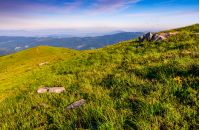 grassy meadow with giant boulders on hillside. mountain ridge on a beautiful sunny summer day. wonderful Carpathian landscape 